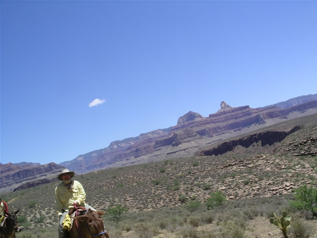 images/A-Mule Ride- returning to the Rim (2).jpg